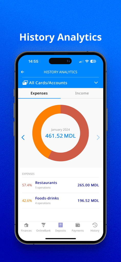 VB24 Mobile app history analytics screen showing monthly expense breakdown in a donut chart