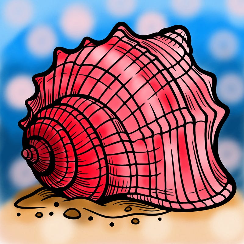 sea shell