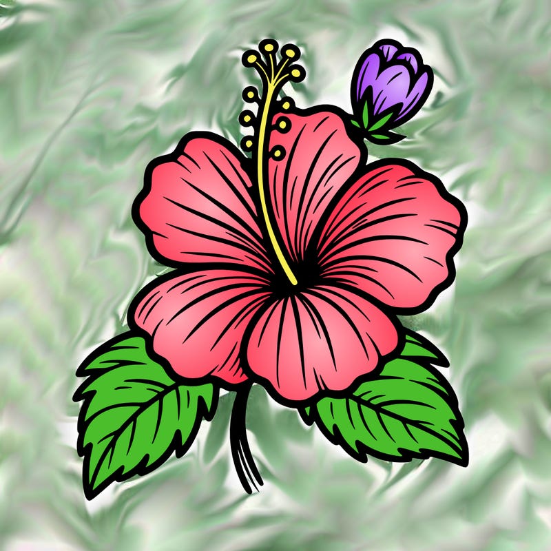 hibiscus flower