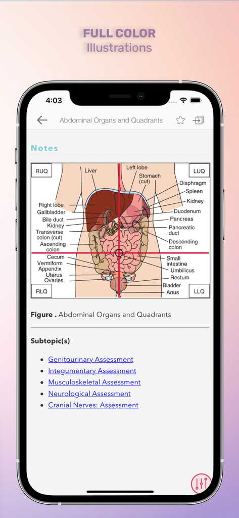 Anatomical diagram of abdominal organs and quadrants in the RNotes app