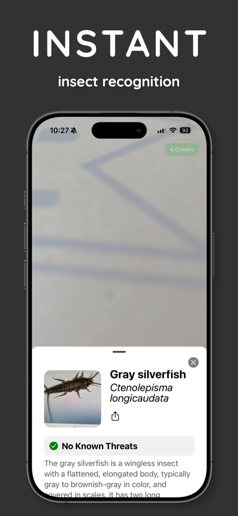 Screenshot of InsectScan app identifying a gray silverfish showing no known threats