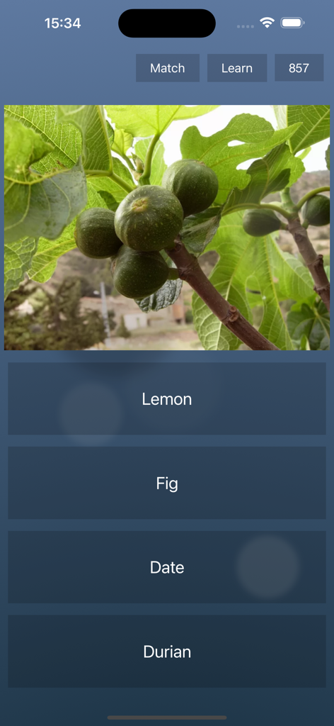 A visual botany trivia question in the Endless Quiz app featuring green figs and multiple choice options