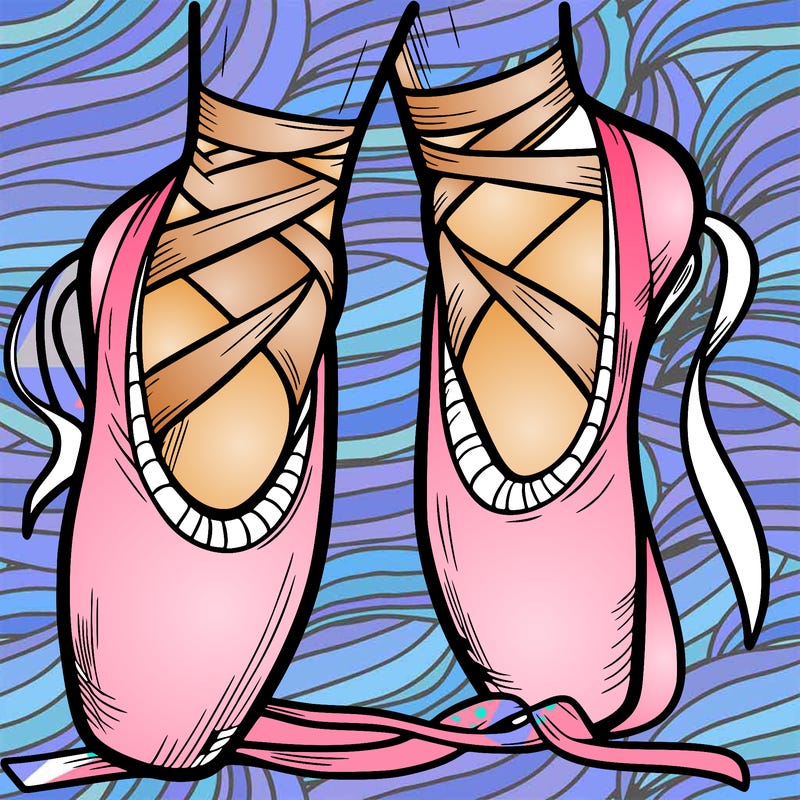 ballet shoes
