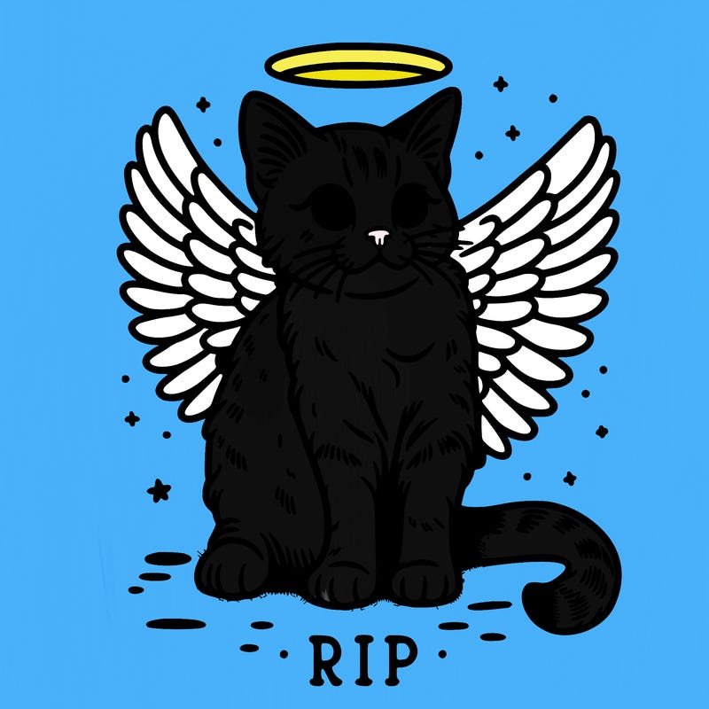 rip cat realistic cat with angel wings