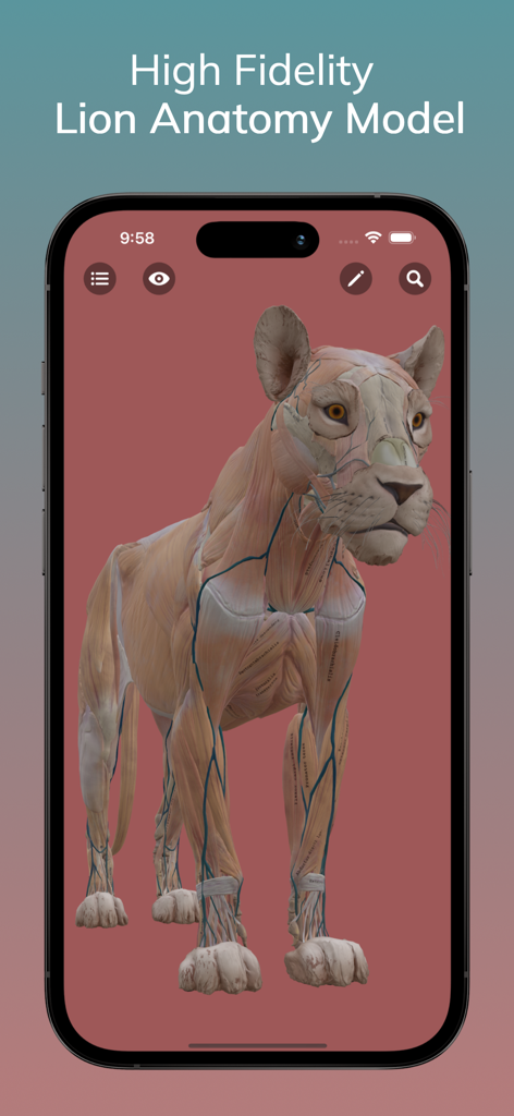 Modelo 3D de alta fidelidad de la anatomía de un león mostrando la estructura muscular en la pantalla de un smartphone