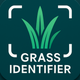 Grass Identifier: AI Scan