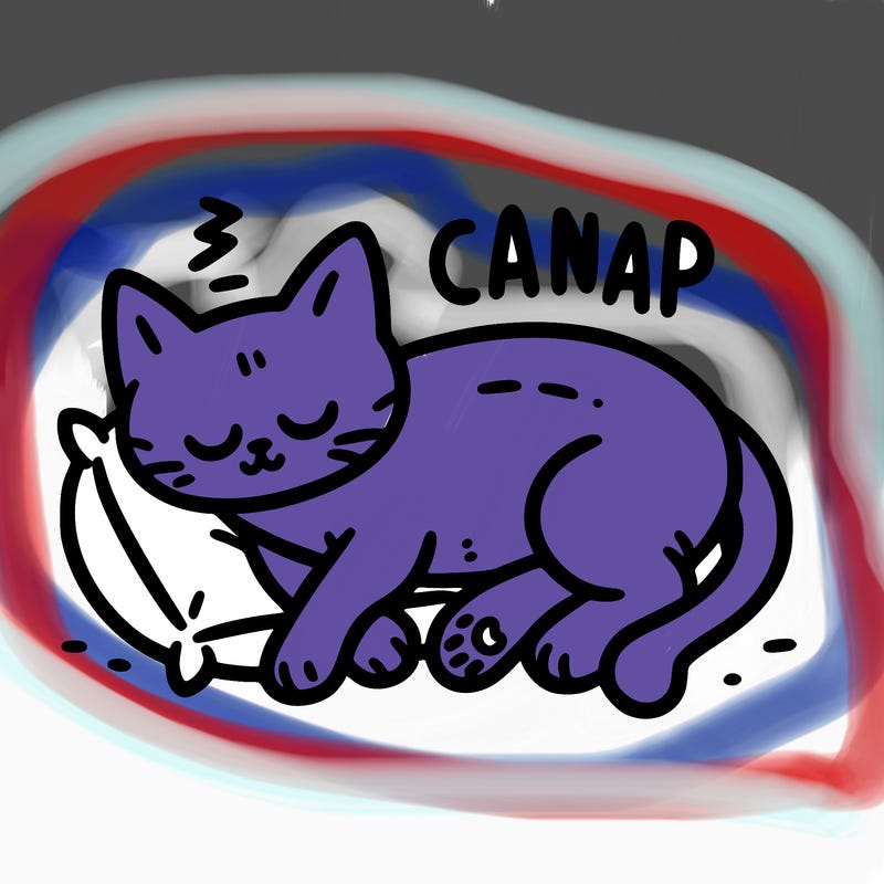 catnap