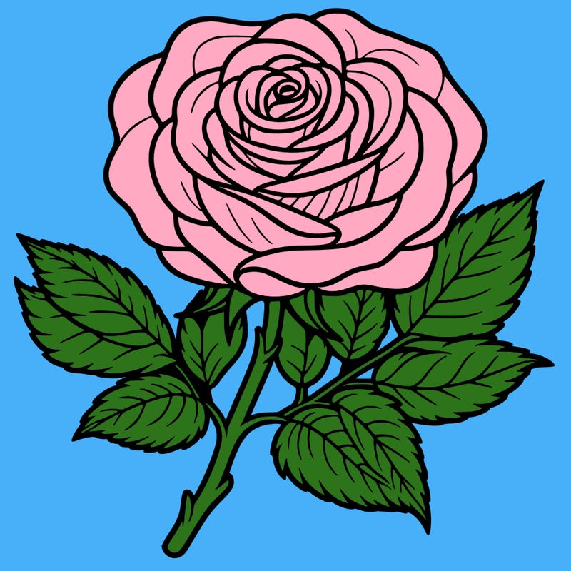 rose