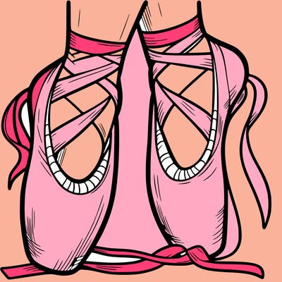 ballet shoes