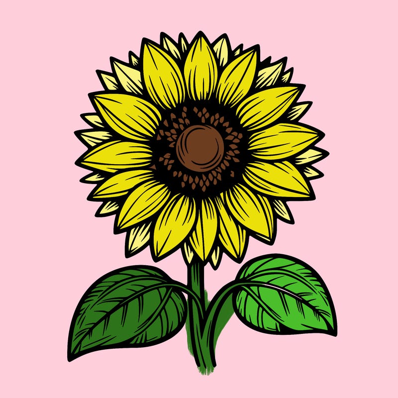 sunflower