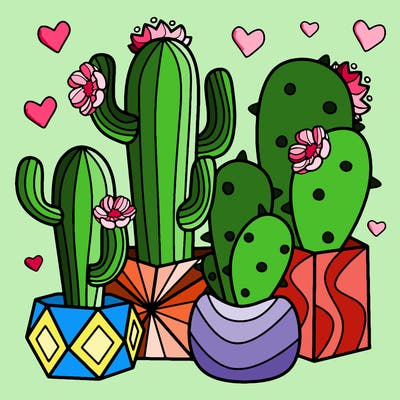 flowers_24_new