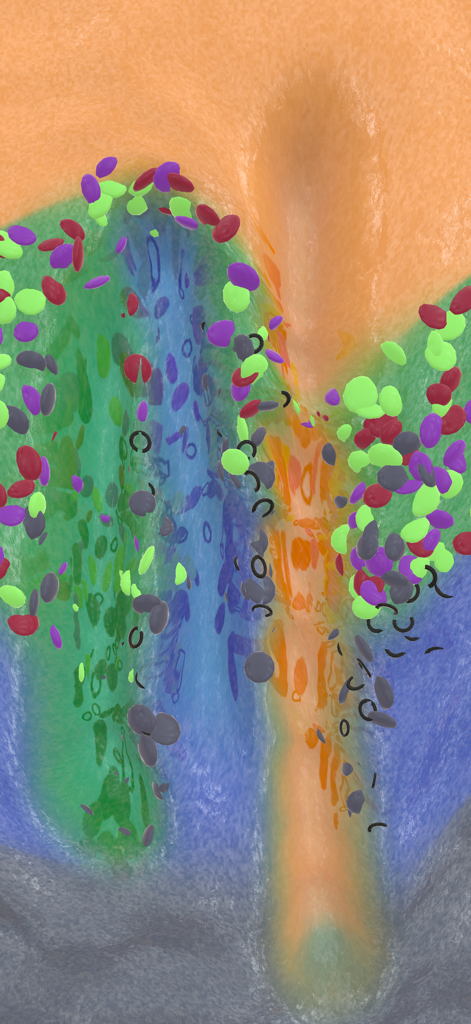 Slime Studio - Satisfying mix of vibrant green, blue, and orange slimes with colorful decorative beads