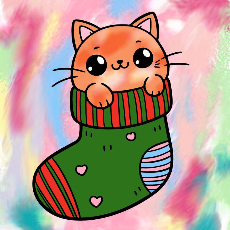 cute cat in a sock