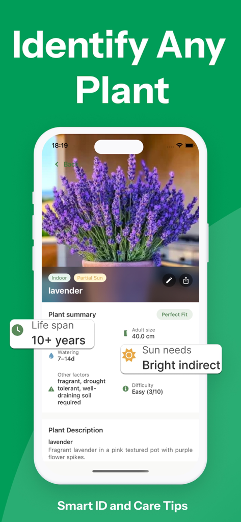 Plantory-App-Bildschirm zur Pflanzenidentifikation, der Lavendel mit detaillierten Pflegehinweisen und einer Zusammenfassung der Lebensdauer anzeigt