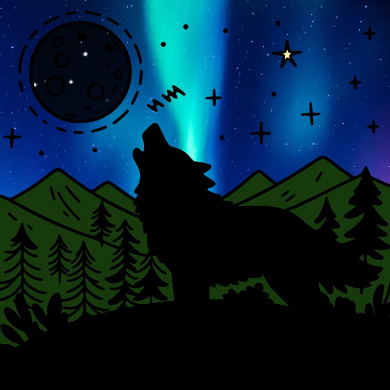 wolf howling at the moon