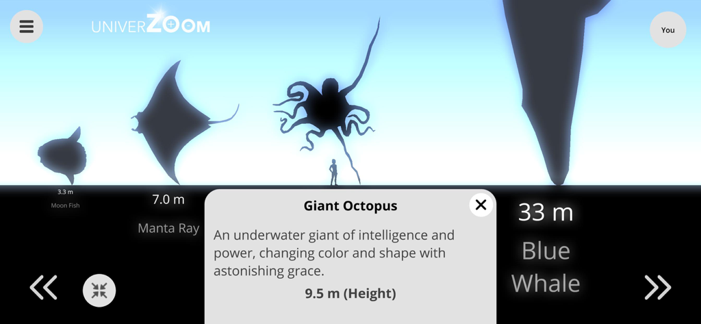 Univerzoom 2D Size Comparison - Una comparación del tamaño de criaturas marinas que incluye un pez luna, una manta raya, un pulpo gigante y una ballena azul en siluetas minimalistas.