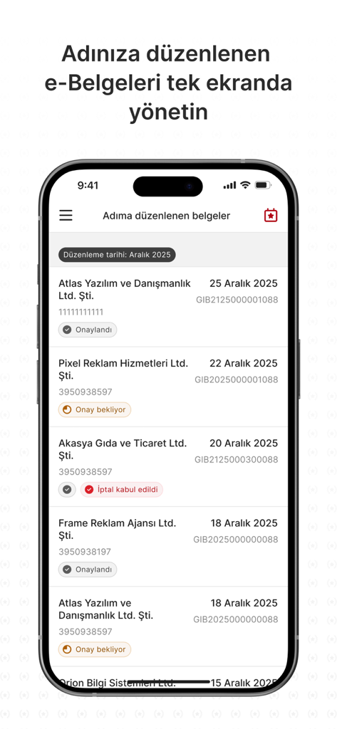 e-Arşiv Fatura Portal - List of electronic invoices with their approval status in the e-Arşiv Fatura Portal app.