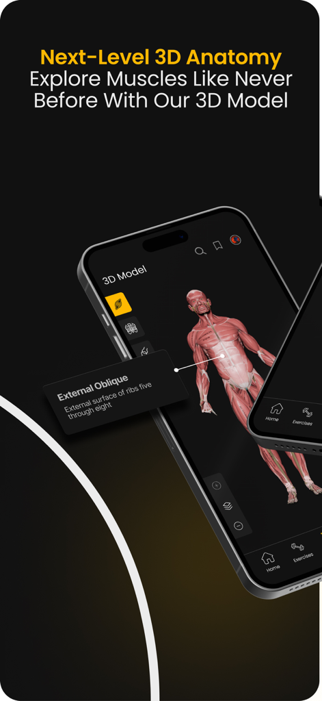 Strength Training by M&M - Interactive 3D anatomy model showing human muscle structure in the Strength Training app