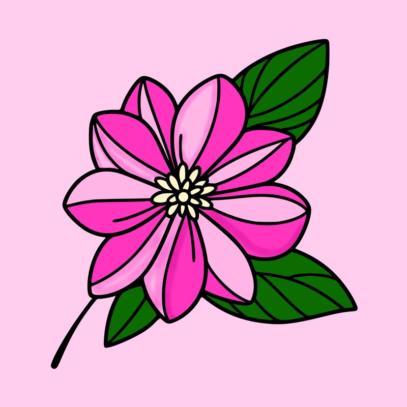 minimalist drawing of a beautiful flower