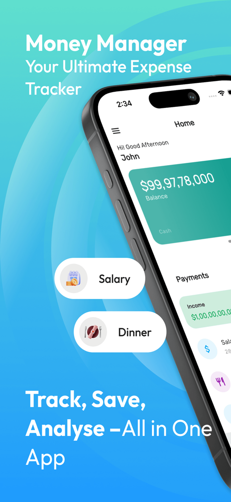 Money Manager app home screen on an iPhone showing balance and expense tracking categories
