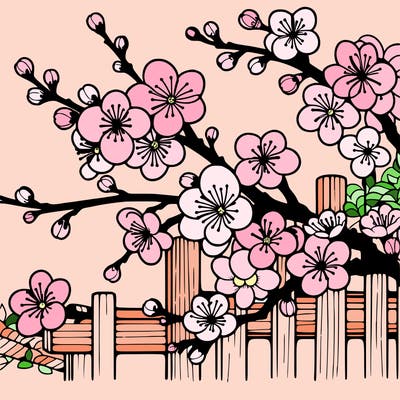 japan cherry blossom