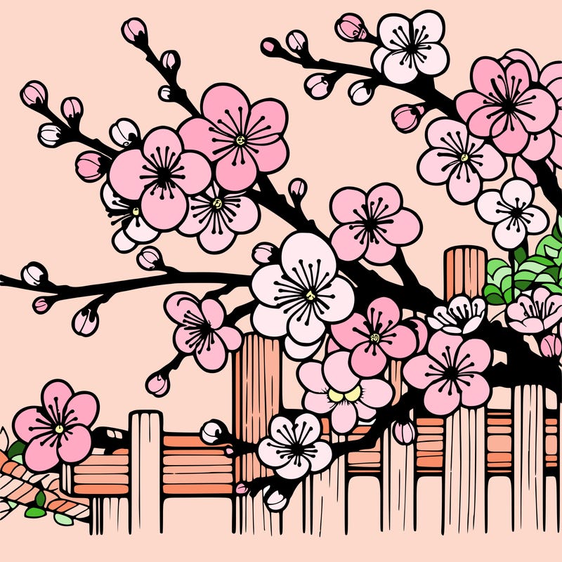 japan cherry blossom