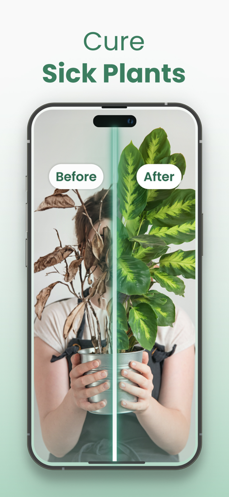 Plantify: AI Plant Identifier - Comparación antes y después de una planta siendo curada en la aplicación Plantify