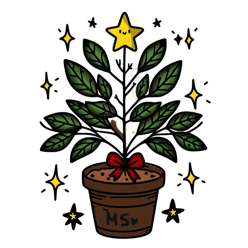 christmas plant