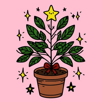 christmas plant