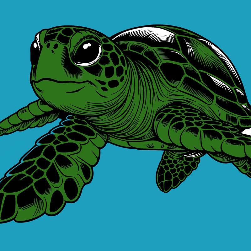 realistic sea turtle