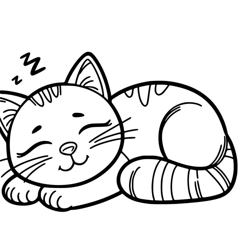 cat sleeping