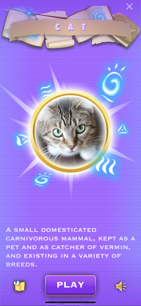 Word definition screen for CAT in the Book-Man mobile game showing a cat photo and description.