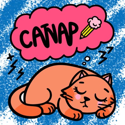 catnap