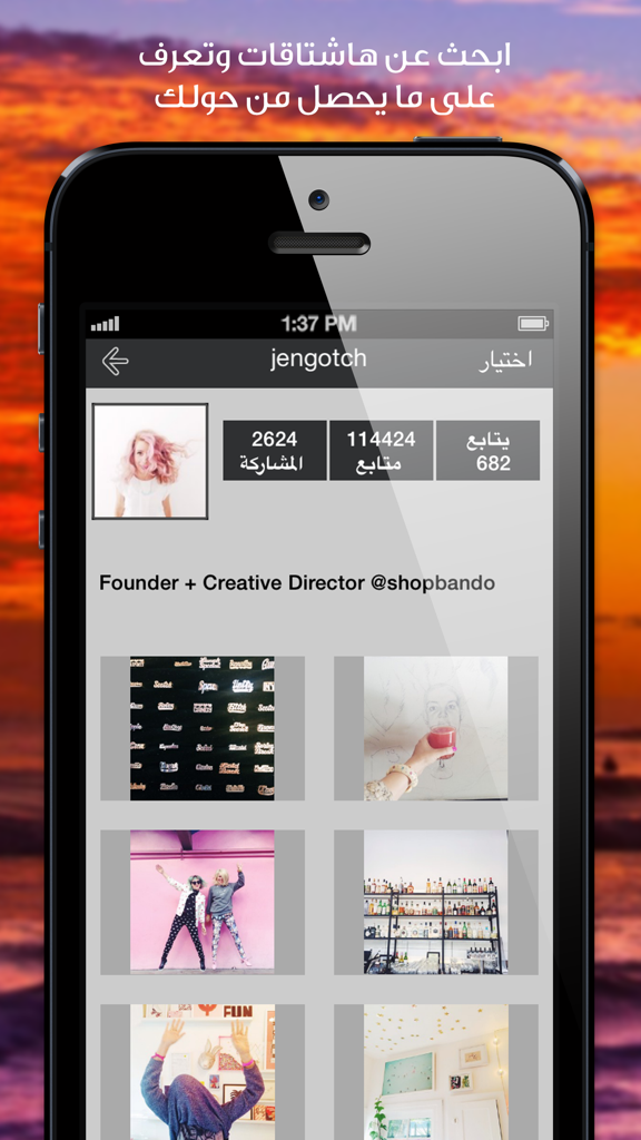 iPhone screenshot showing an Instagram profile view in the Arabic Insta Download app.