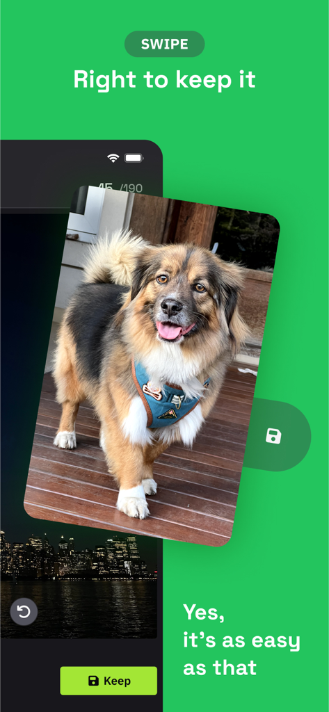 Swipe Delete: Photo Declutter - Una foto de un perro siendo deslizada hacia la derecha para conservarla en la aplicación Swipe Delete