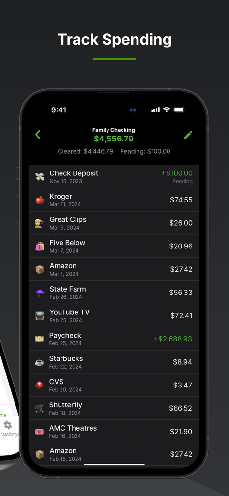 Balance Pro: Money & Budget - Balance Pro app interface displaying a list of family checking account transactions and spending history