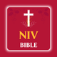 New International Version(NIV)