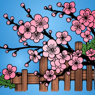 japan cherry blossom