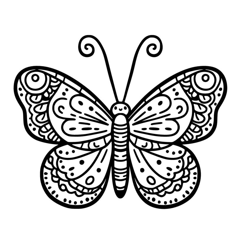 butterfly