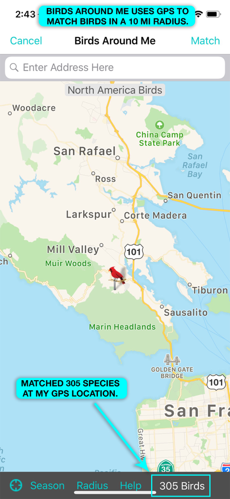 La fonction « Oiseaux autour de moi » d'iBird Pro affiche 305 espèces d'oiseaux associées à une position GPS sur une carte.