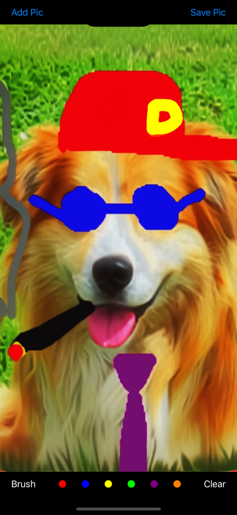 Draw On My Pics - Una foto de un perro con una gorra roja, gafas de sol azules y una corbata morada dibujadas con la aplicación Draw On My Pics.