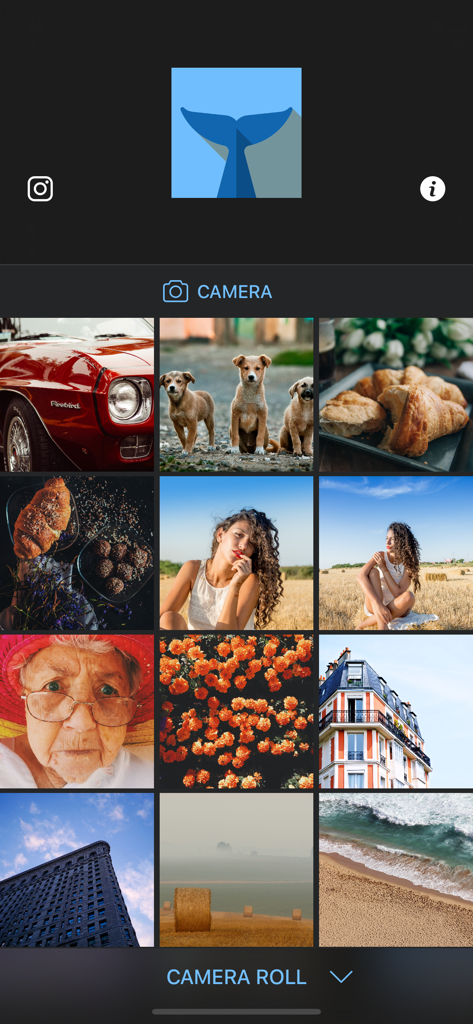 Flipper Mirror Image Editorのメイン画面。写真ギャラリーとカメラへのアクセスが表示されています。