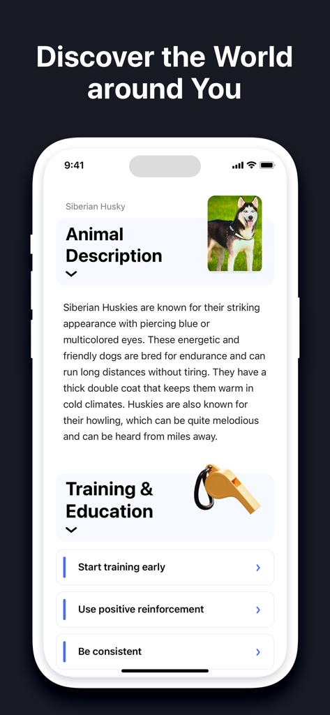 EveryScan app interface identifying a Siberian Husky with breed description and training tips.