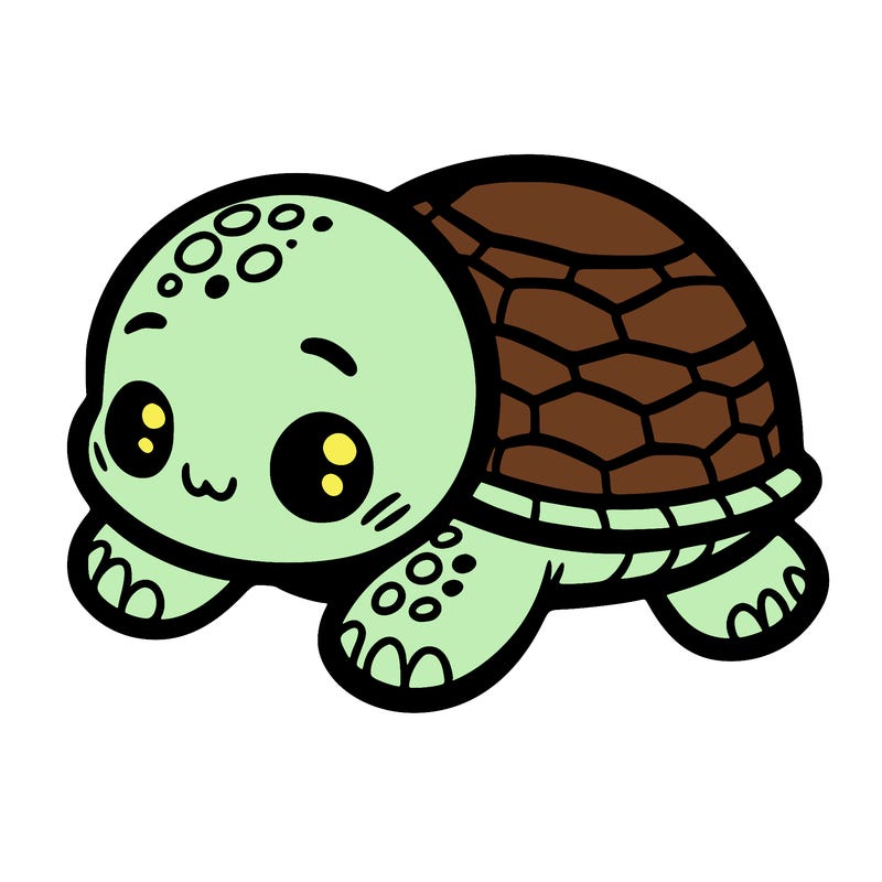 baby turtle