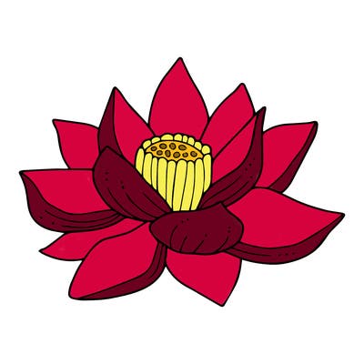 flowers_08
