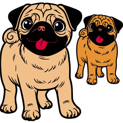pug