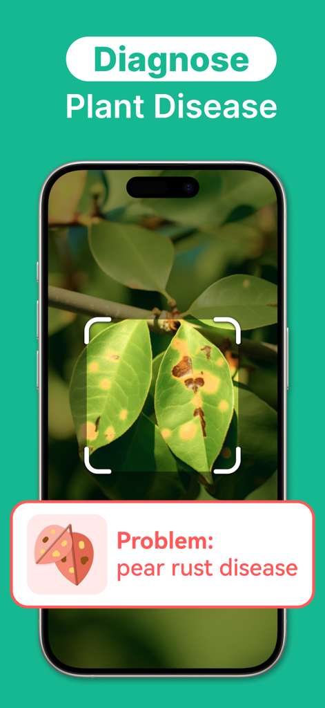KI-Pflanzen-Identifikator-App-Bildschirm zeigt eine Diagnose für Birnenschorfkrankheit auf Pflanzenblättern.