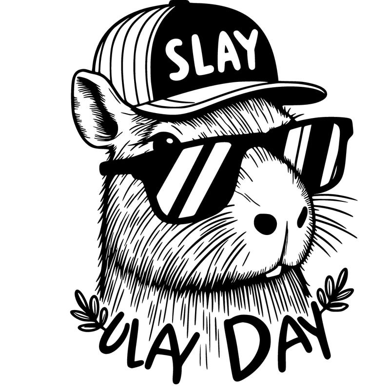 capybara wearing sunglasses and a hat that says slay all day