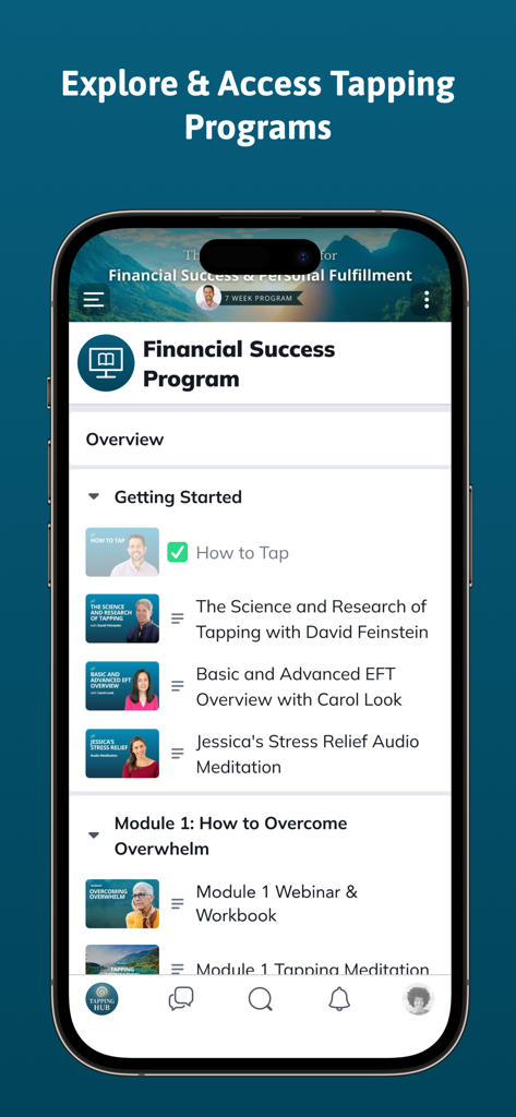 The Tapping Hub - The Tapping Hub app showing the course library for the Financial Success Program including EFT tapping videos and meditations