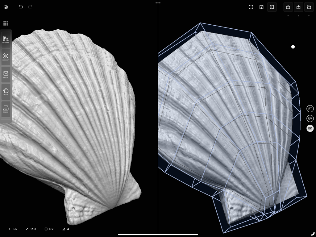 CozyBlanket - CozyBlanket app interface showing a side-by-side view of a 3D seashell high poly model and its retopology wireframe